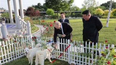 Photo of Ким Џонг Ун му подари на Путин две кучиња: расата пунгсан, непозната во светот