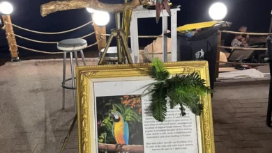 Photo of Казна од 20.000 евра за сопственик на два папагали, бидејќи им ги пресекол крилата за да се сликаат со туристи на Халкидики