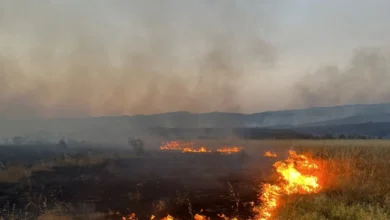 Photo of ЦУК: Армискиот хеликоптер почна со гасење на пожарот на планината Серта, на локацијата се вклучени повеќе луѓе
