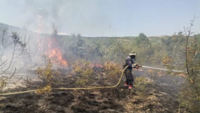 Photo of Кризниот штаб од Неготино бара од Владата прогласување кризна состојба поради пожарот на Серта