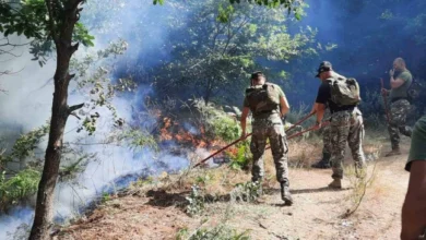 Photo of Армијата и два хеликоптера ангажирани во гаснењето на пожарот во неготинско