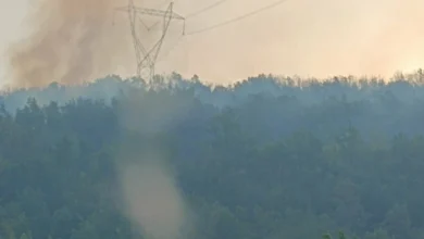 Photo of Исклучени два далекуводи во неготинско од безбедносни причини, нема прекини во снабдувањето со електрична енергија