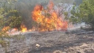 Photo of Повреден жител на Сирково при гаснење на пожар 