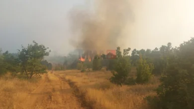 Photo of Пожарот во штипскиот дел на Серта се шири кон селото Пиперово