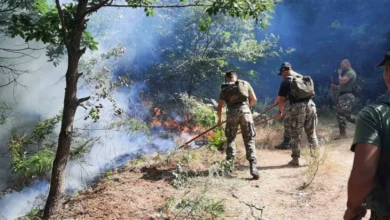 Photo of Нови 200 припадници на армијата ангажирани во гасењето на пожарите