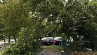 Photo of Видео: Паднати гранки, поплавени улици – Кратко невреме со силен ветер во Скопје