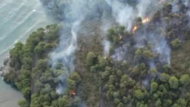 Photo of ВИДЕО: Шумски пожар во јужна Италија принуди евакуација на туристички ресорт