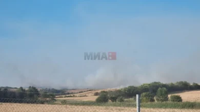 Photo of (ВИДЕО) Ангелов: Дванаесет села во земјава зафатени од пожари