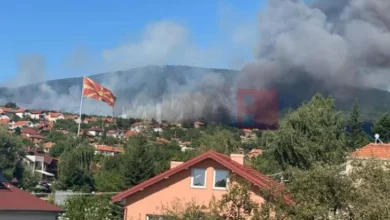Photo of Пожарот над Пехчево се поблиску до првите куќи, Китански апелира населението да се вклучи во гаснењето