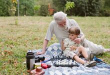 Photo of Бабите и дедовците во Шведска можат да добијат додаток за грижа за нивните внуци