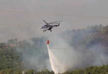 Photo of Шумски пожар беснее во крушевско, се шири кон селото Пуста Река, испратени два хеликоптери