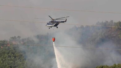 Photo of Шумски пожар беснее во крушевско, се шири кон селото Пуста Река, испратени два хеликоптери