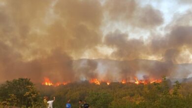 Photo of (ВИДЕО) Страотен пожар на планината Серта: Пламените јазици се доближуваат до патот