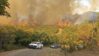 Photo of Маж од Радовишко приведен поради подметнување пожари