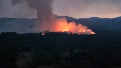 Photo of Авион ќе го гасне пожарот што избувна кај Смолево и се прошири кон Стрежевскиот канал и селото Буково