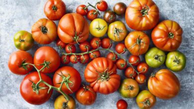 Photo of Зошто е важно да конзумирате домати