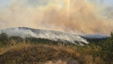 Photo of Михаилов: Вработени во Македонски шуми ги гасат пожарите “по влечки”, а 84 возила им стојат во гаража оти нема гориво