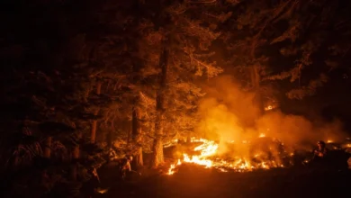 Photo of ВИДЕО: Пожарот во Калифорнија прерасна во четврти најголем во историјата на оваа сојузна држава