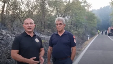 Photo of Ангелов: Не е загрозено ниту Богданци, ниту друго населено место од пожарот во овој регион