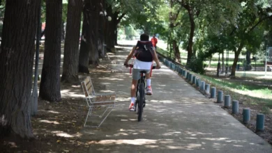 Photo of Сончево и топло со умерен, повремено засилен ветер од северен правец