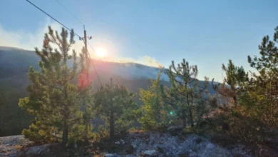 Photo of Активни пожари во Македонски Брод, Охрид, Новаци, Кичево и Струга