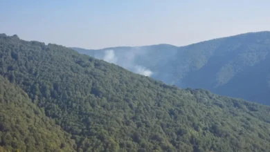 Photo of Ангелов: Активни 10 пожари, 10 изгаснати и 5 ставени под контрола