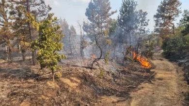 Photo of Видео: Пожарот над кичевско Зајас повторно активен, на терен пожарникари од Кичево и 30 припадници на Армијата