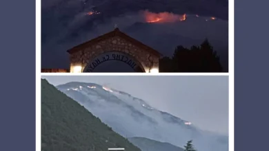 Photo of Пожарот на Галичица се уште активен, на социјалните мрежи повик за вклучување на граѓаните во гаснењето