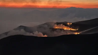Photo of Пожарот на Галичица е под контрола, на терен се 100 пожарникари