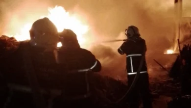 Photo of (Видео) Опожарена фабриката „Ником“ во Кавадарци