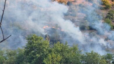 Photo of (ВИДЕО) Ангелов: Опасен пожар се шири кај селото Негорци – стигна на околу 50 метри од првите куќи