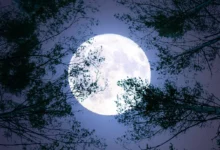 Photo of Ретка појава утре: Најголемата супермесечина годинава