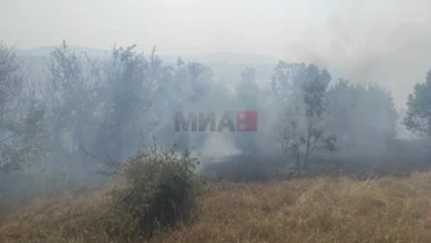 Photo of Ангелов: Пожарот во Косел е реактивиран сто лица го гасат