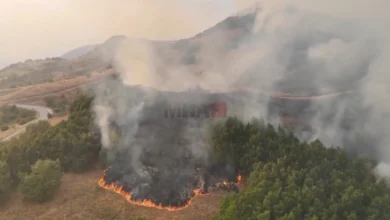 Photo of Се проширува пожарот во Мариово, периметарот на огнената линија изнесува 110 километри