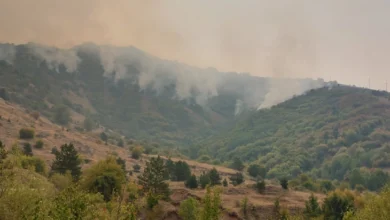 Photo of Ангелов: Попладневните дождови помогнаа во гаснењето на пожарот во прилепско Мариово