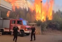 Photo of Во Албанија годинава 1077 пожари, опожарени над 43,4 илјади хектари