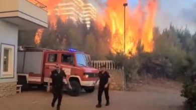 Photo of Во Албанија годинава 1077 пожари, опожарени над 43,4 илјади хектари