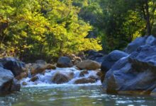 Photo of Жител на Демир Капија пронајден мртов кај „Смрдлива вода“