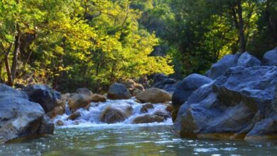 Photo of Жител на Демир Капија пронајден мртов кај „Смрдлива вода“