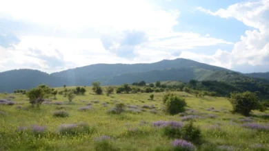 Photo of Променливо облачно со услови за слаб локален дожд