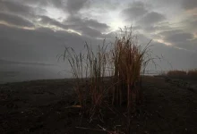 Photo of До сабота сончево, потоа облачно и постудено со повремен дожд, а на повисоките места и снег