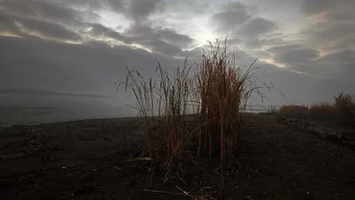 Photo of До сабота сончево, потоа облачно и постудено со повремен дожд, а на повисоките места и снег