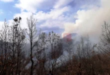 Photo of Под контрола пожарот, кој попладнево избувна на планината Беласица