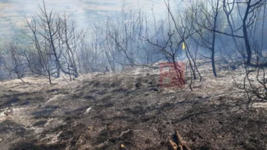 Photo of По четири дена изгаснат е пожарот на планината Беласица