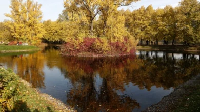 Photo of Ведро и студено, преку денот сончево