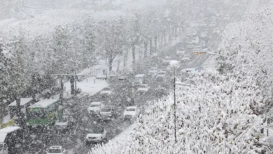 Photo of Рекордни снежни врнежи во Сеул, сообраќајот парализиран, летови откажани, илјадници без струја