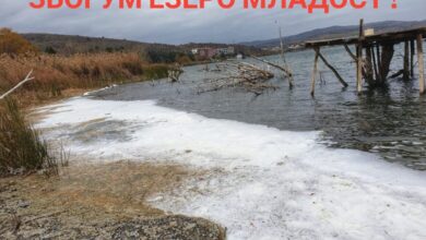 Photo of (ВИДЕО) „Умира Велешко езеро“: Водата ја смени бојата и смрди на амонијак