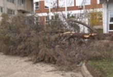 Photo of Силен ветер и во Штип, откорнати дрвја, паднати гранки и оштетени возила