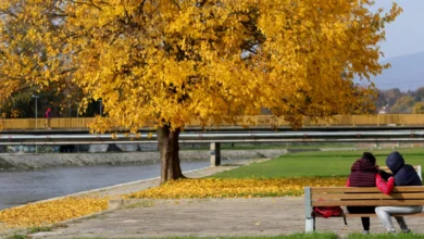Photo of Утринска магла по одделни котлини, преку ден сончево