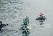 Photo of Накитена и подводната новогодишна елка во Охридското езеро